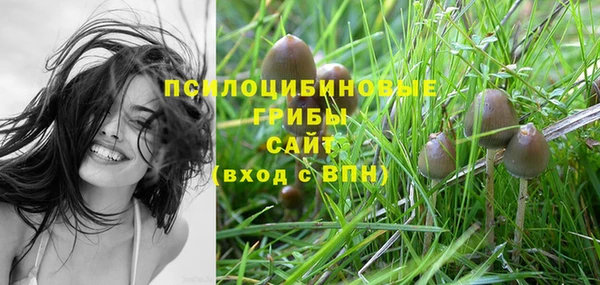 винт Алексин