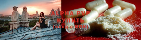 индика Абаза