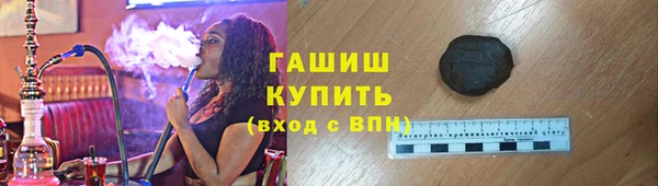 индика Абаза