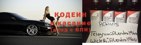 индика Абаза