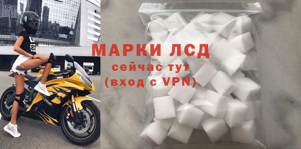 индика Абаза