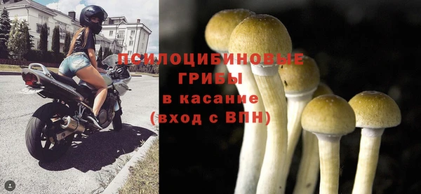 ГАЛЛЮЦИНОГЕННЫЕ ГРИБЫ Алексеевка