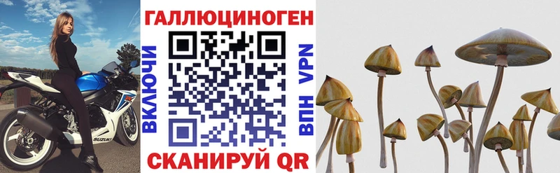 Псилоцибиновые грибы GOLDEN TEACHER  Ковров 