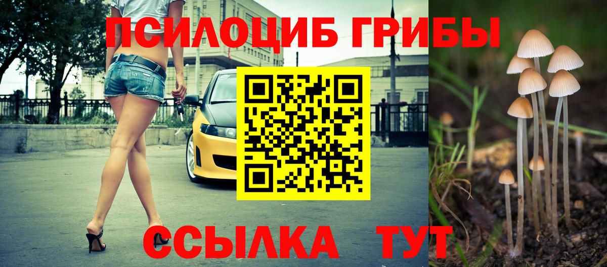 Псилоцибиновые грибы прущие грибы  Галлюциногенные грибы мицелий  Ковров  Вход с VPN 