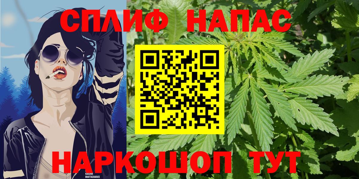 Конопля конопля  Бошки Шишки план  Конопля SATIVA & INDICA  Канабис Ganja  Вход с VPN  Ковров 